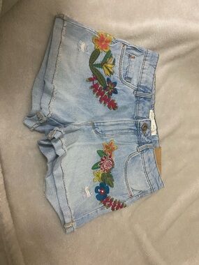 Zara Light Blue Denim Shorts with Colorful Floral Embroidery
